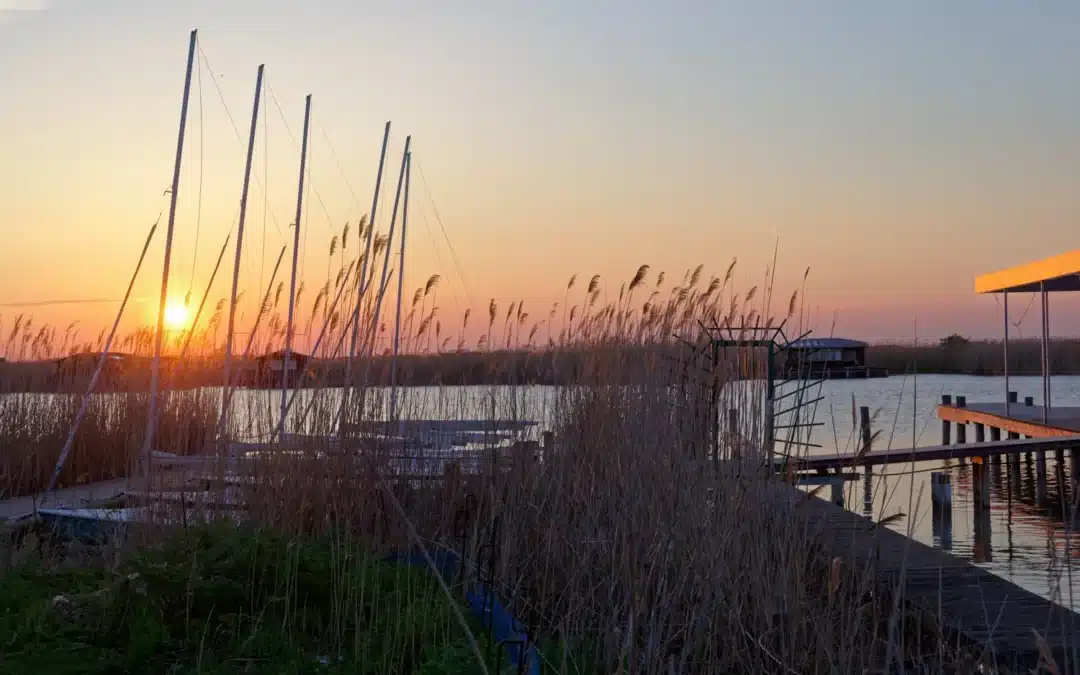 Neziderské jezero: stav vody 2026, koupání a co vědět