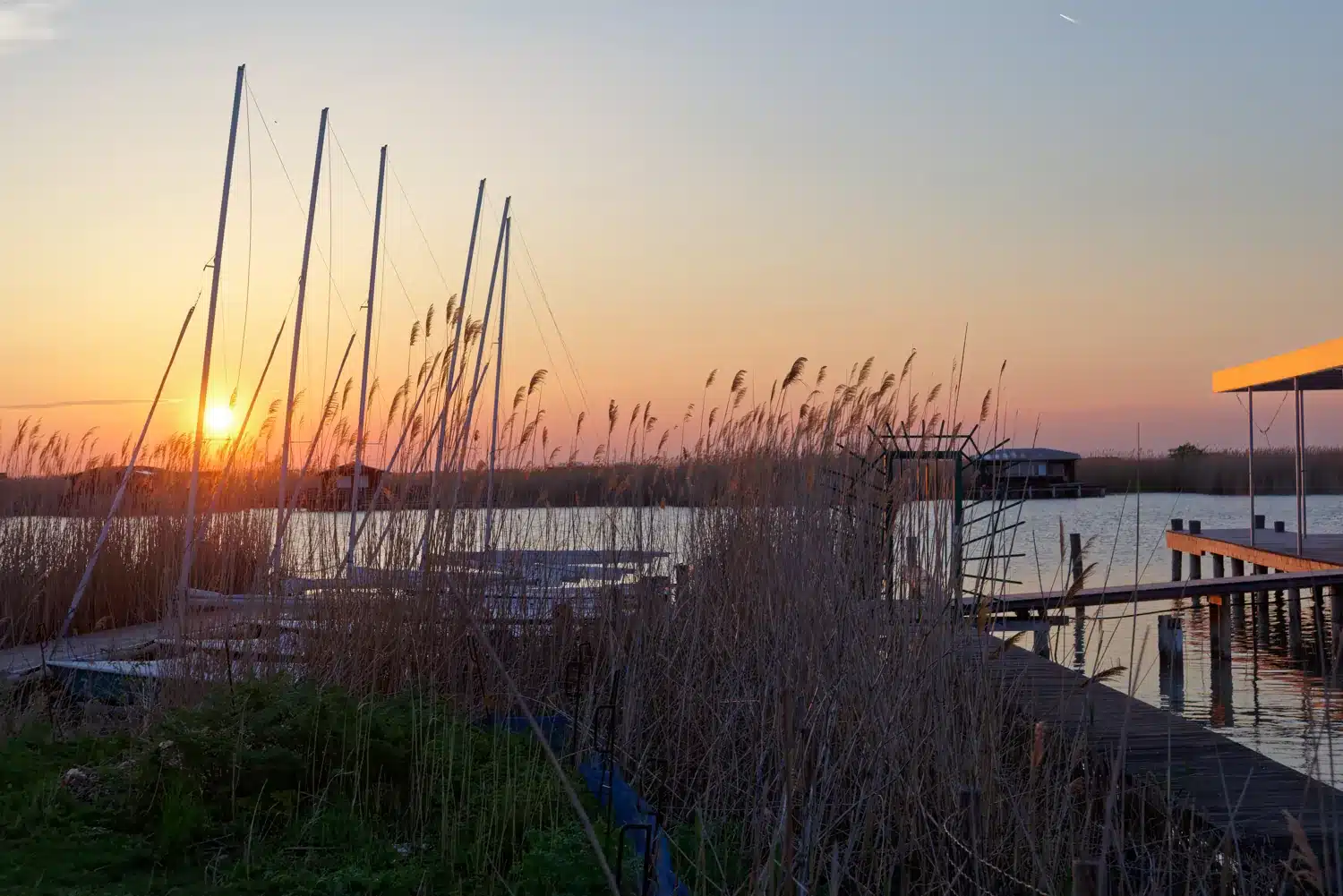 Neziderské jezero za svítání, rákosí a mola u Rustu