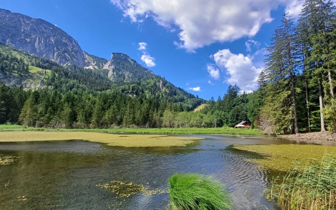 Taferlklaussee: jezírko pod Höllengebirge mezi Traunsee a Attersee